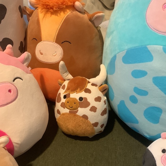 Rare cow squishmallow bundle , 8 cows, ultra rare tuluck !! 20 inch Colin ! - Picture 4 of 5